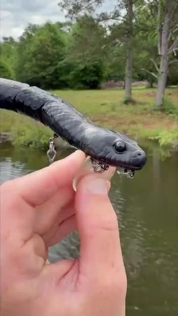This Fake Lure is Deadly | Lure Era