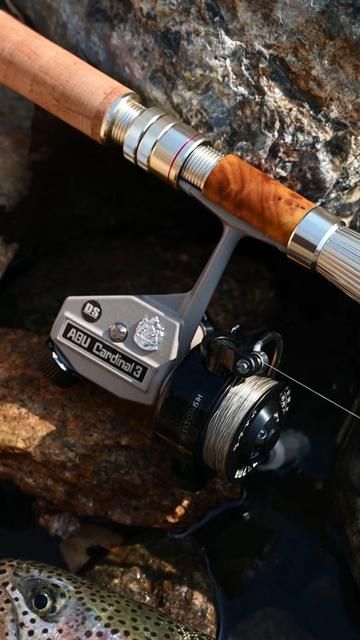 ABU Cardinal Red Fishing Trout with Lures in Clear Streams