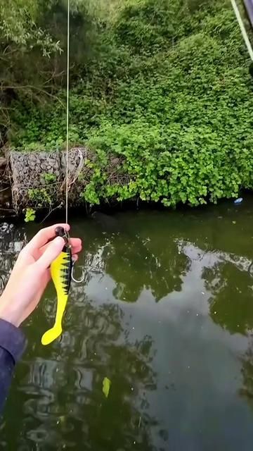 Unbelievable! Caught a Fish! #Fishing #LureFishing #FishingLure