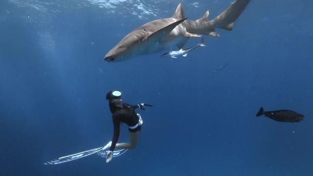 Cute and Adorable Content