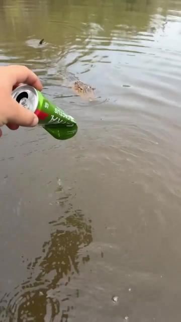 Fish Too, Gotta Catch - Fishing | Lure Era | Anglers Pass By
