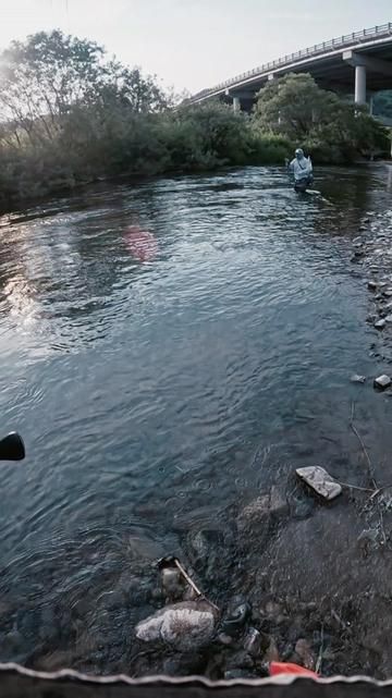 Fly Fishing for Kokanee Salmon in Mountain Streams