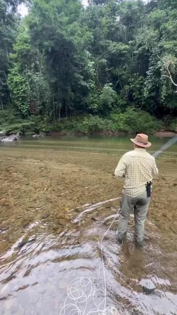 Fishing Mastery: Ultimate Techniques for Wild Fishing Adventures