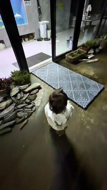 Aquarist Extra: Blue Lizard Fish Feeding by Little Keeper