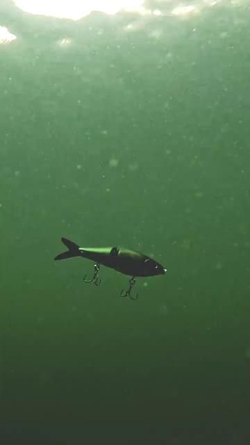 This Fake Bait Will Drive Fish Crazy | Lure Fishing