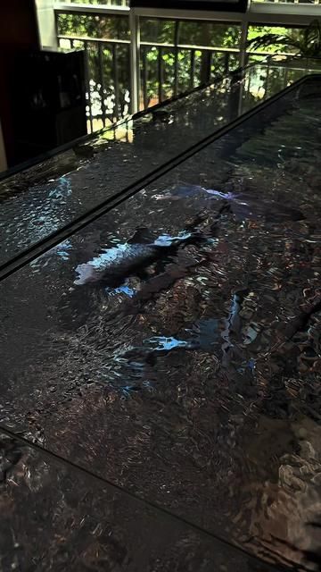 Not Intentionally Alone: The Comfort of Solitude