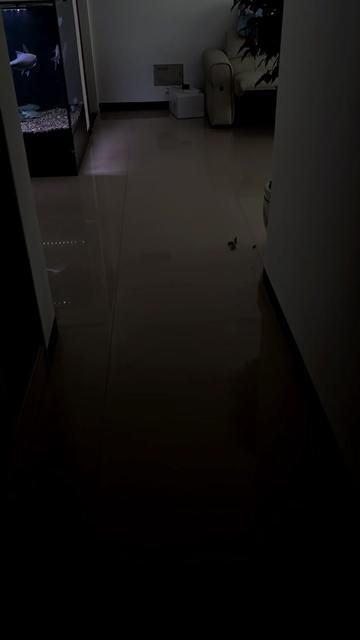 Psychologist's Advice: Fall in Love with Something to Stay Alive and Happy