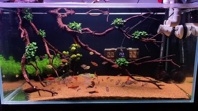 Precipitation Brings Out the Best in You