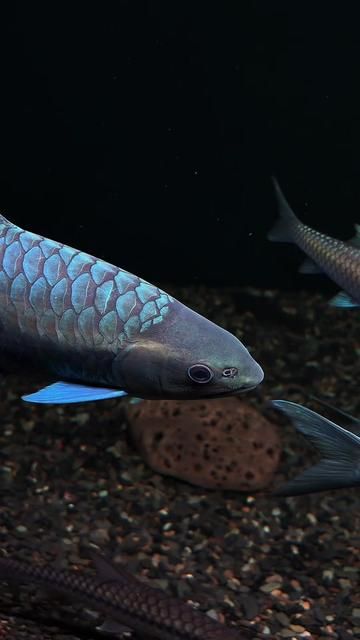 Find Peace and Clarity Through What You Love