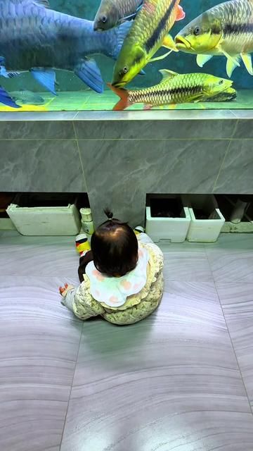 Fishkeeping Cultivates Your Luck: Why Aquarists' Homes Glow Bright