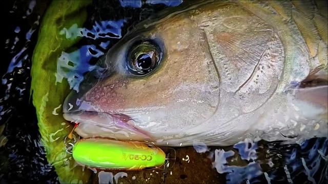 Chasing the Stream's Speed Demon: Jun Yu Fishing with Ultimate Precision