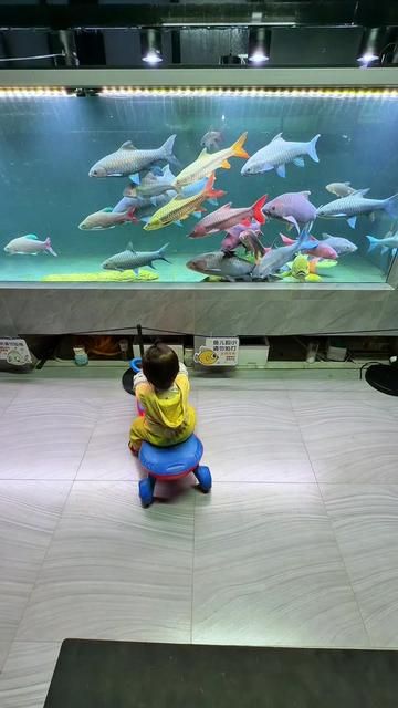 Giro Fish: The Longer You Keep, The More Flavorful It Gets