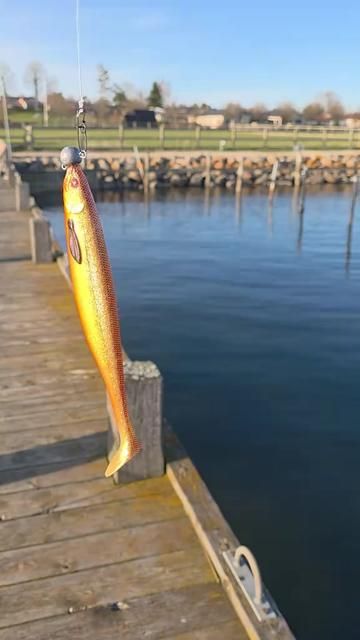 This Bait Looks Amazing - Lure Fishing Tips