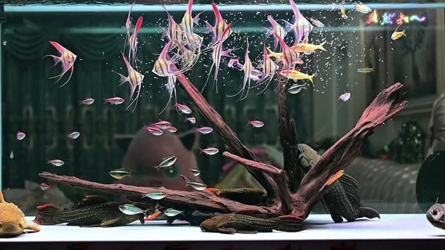 Visual Impact: Egyptian Deities in Stunning Detail