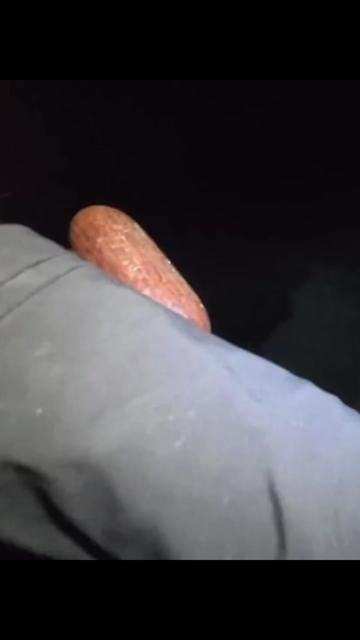 Heavy Jigging Reel Tearing Sound Waves