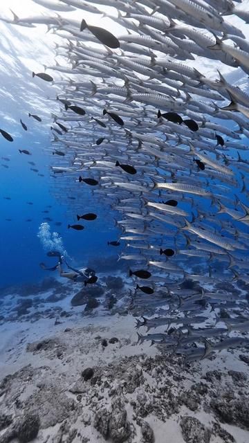 Mara Tu Second Channel: Little Sea Wolf Storm Analysis