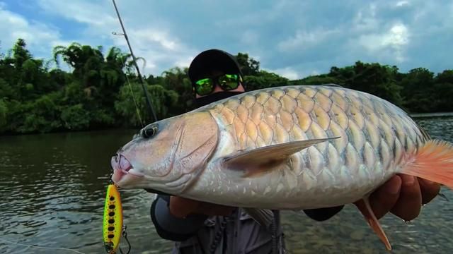 Unexpected Explosive Strikes on Snakehead – Adrenaline Rush!