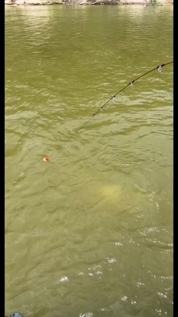 Fishing for Big Fish: Essential Gear and Techniques