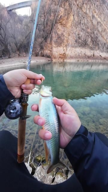 Ultra Smooth Micro Fishing with Tianzong Lure