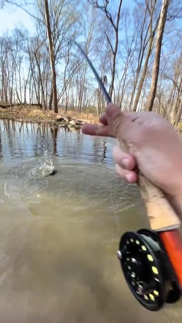 Fly Fishing vs Lure Fishing Era