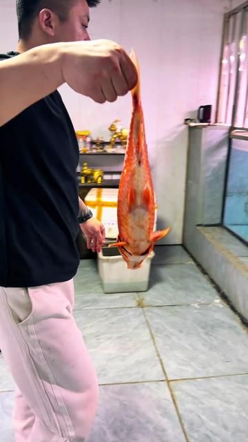 Red Mist Rising at the Gills, Good Luck Unstoppable - Wishing Everyone a Horse Year of Great Fortune and Unstoppable Momentum