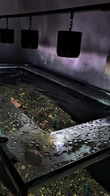 How to Describe This Feeling I Can't Express - Emotional Awareness Exploration