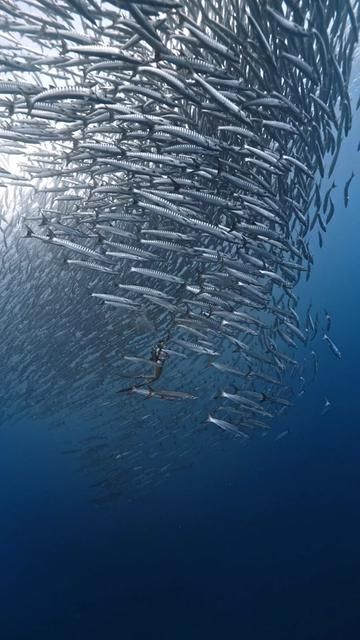 AI Technology Explained Simply