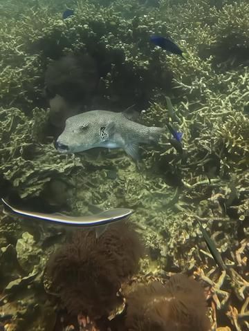 Mastering Top Tier Movement in Games