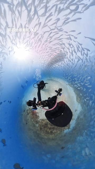 Surrounded by Mackerel Storm in Palau