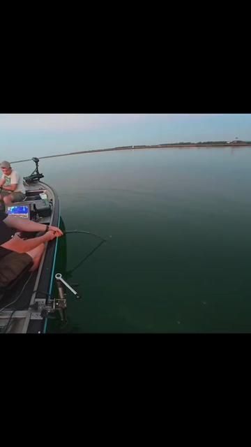 This Feels Unstoppable: European Catfish Fishing