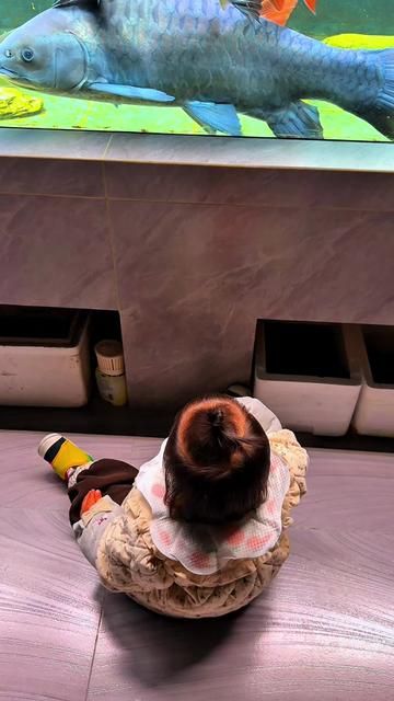 Who Takes Care of Your Fish During Chinese New Year?