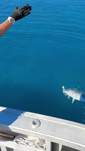 Lure Fishing Mastery: Coastal Angling Techniques and Modern Lure Era Insights