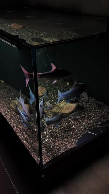 If Healing Had Colors: Blue and Green