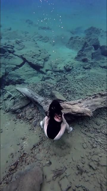 Authentic Free-Range Chicken, Duck, and Pork from Rural Homesteads: The Real Taste of Homegrown Meat