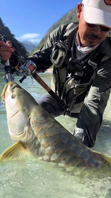 Wild Bear Stream Himalayan Golden Mahseer Fishing Adventure