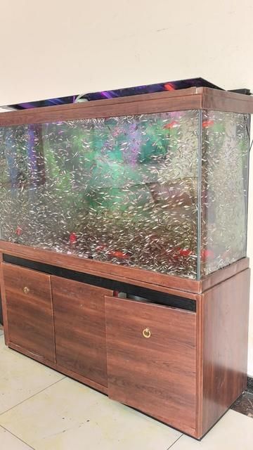 Advanced Machine Learning Techniques for Data Analysis