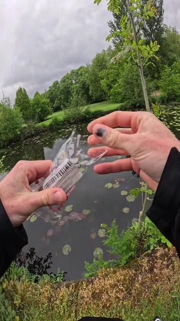 Can This Fake Lure Get Bites? Bass Fishing