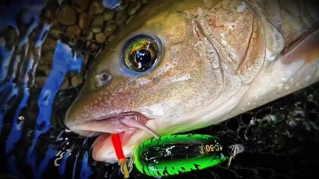 Switching from 140g to 60g Rod: Instant Performance Boost