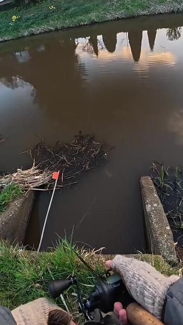 Is It Fake? Lure Fishing Insight
