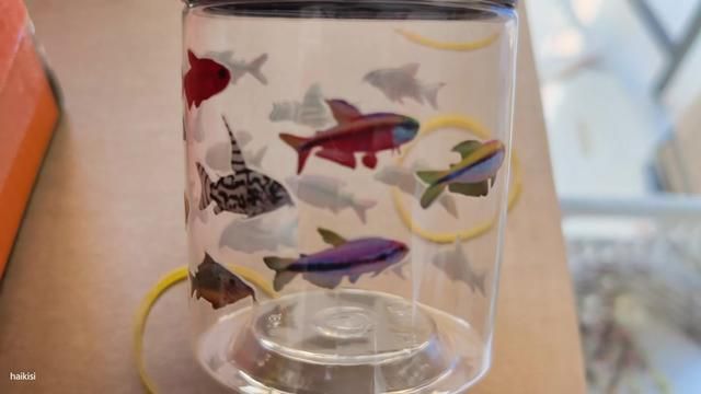 Eternal South American Fish - Small Fish Cup DIY Aquarium