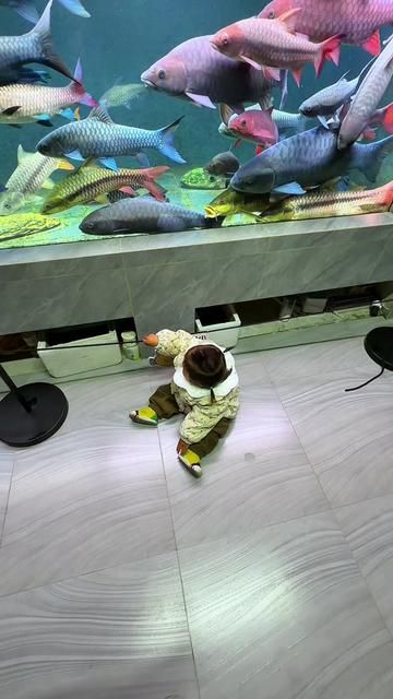 My Little Water Buffalo: Blue Giro